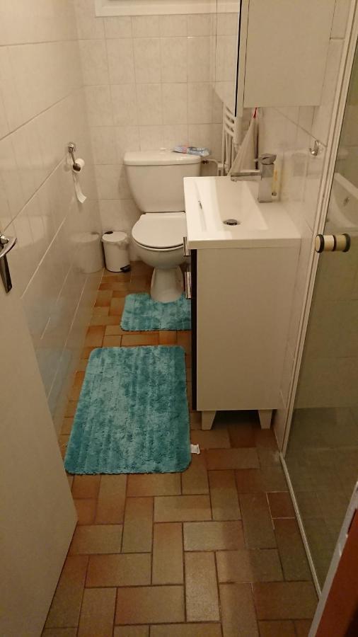 Oldani Apartment Antran Bagian luar foto